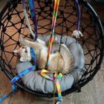 WhatsApp Image 2026-03-12 at 11.56.49 AM