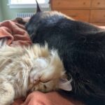 WhatsApp Image 2026-03-12 at 12.20.35 PM