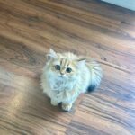 WhatsApp Image 2026-03-12 at 12.20.54 PM