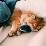 WhatsApp Image 2026-03-12 at 12.38.34 PM