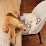 WhatsApp Image 2026-03-12 at 12.38.36 PM