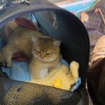 WhatsApp Image 2026-03-12 at 12.47.54 PM