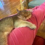 WhatsApp Image 2026-03-12 at 12.49.13 PM