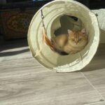 WhatsApp Image 2026-03-12 at 12.49.14 PM