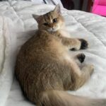 WhatsApp Image 2026-03-12 at 12.49.30 PM