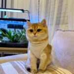 WhatsApp Image 2026-03-12 at 12.59.1