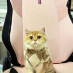 WhatsApp Image 2026-03-12 at 12.59.18