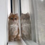 WhatsApp Image 2026-03-12 at 2.57.35 PM