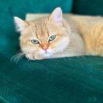 WhatsApp Image 2026-03-12 at 3.13.18 PM