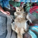 WhatsApp Image 2026-03-12 at 3.13.19 P