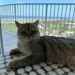 WhatsApp Image 2026-03-12 at 3.13.19 PM