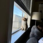 WhatsApp Image 2026-03-12 at 3.26.18 PM