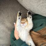 WhatsApp Image 2026-03-12 at 3.26.19 PM