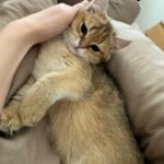 WhatsApp Image 2026-03-12 at 3.26.20