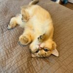 WhatsApp Image 2026-03-12 at 3.26.20 P