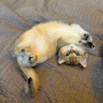 WhatsApp Image 2026-03-12 at 3.26.20 PM