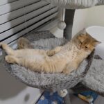 WhatsApp Image 2026-03-12 at 3.42.40 PM