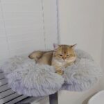 WhatsApp Image 2026-03-12 at 3.42.41