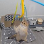 WhatsApp Image 2026-03-12 at 3.42.42 PM