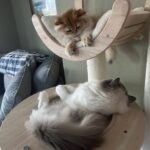 WhatsApp Image 2026-03-12 at 4.26.14 PM