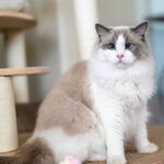 WhatsApp Image 2026-03-12 at 4.26.15 PM