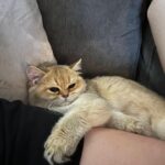 WhatsApp Image 2026-03-12 at 8.39.30 PM