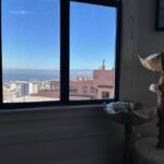 WhatsApp Image 2026-03-12 at 8.39.31 PME