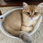 WhatsApp Image 2026-03-12 at 8.50.04 PM