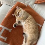 WhatsApp Image 2026-03-12 at 9.02.53 PM