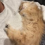 WhatsApp Image 2026-03-12 at 9.09.18 PM