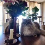 WhatsApp Image 2026-03-12 at 9.15.33 PMJ