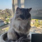 WhatsApp Image 2026-03-12 at 9.15.33 PMV