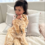 rev alexis dasilva 00